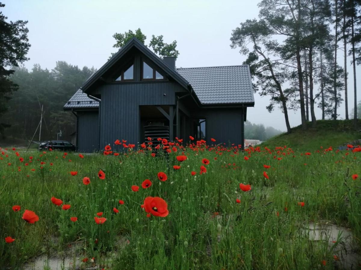 ApartmentАпсуціємс Екстер'єр фото